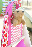 Little Traveler's Companion PDF Sewing Pattern by Lilac Lane